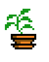 Potted Plant